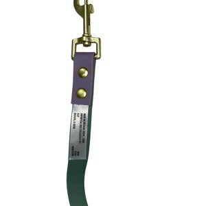 Adjustable Pastel Green & Purple Dog Leash W/Gold Hardware Durable & Stylish